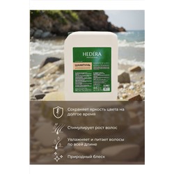 Hedera Professional Шампунь для окрашенных волос / Service Line, 5000 мл KRISTALLER, 1219514