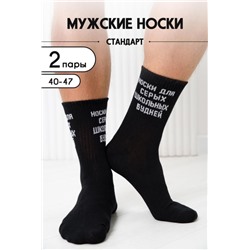Носки мужские Школьные будни (набор 2 пары) (Черный)