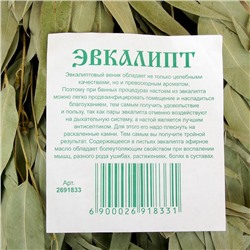 Веник для бани, эвкалиптовый, 53 (±2) см, «Добропаровъ»