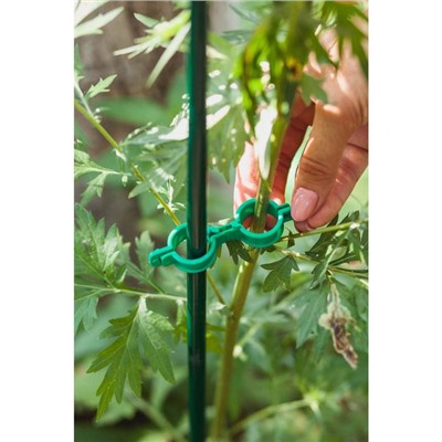 Клипса садовая, d=20 мм, набор 20 шт., зелёный, Greengo