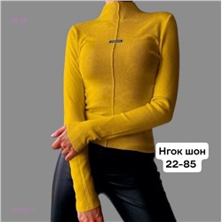 Водолазка 1983976-2