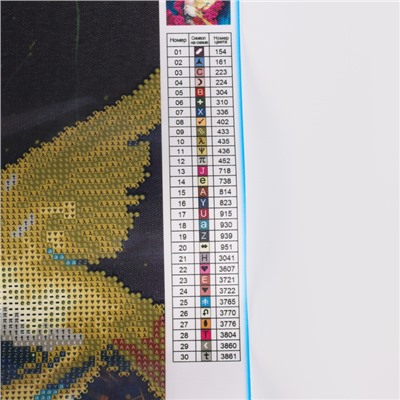 Алмазная мозаика с частичным заполнением на холсте «Птицы», 30×40 см