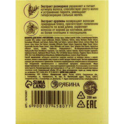 Подарочный набор «Укрепление»: шампунь 250 мл, бальзам 250 мл, URAL LAB