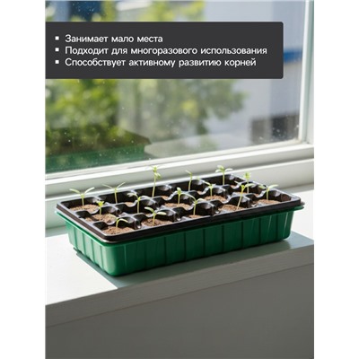 Набор для рассады: торфяная таблетка d=5.5 см, 15 шт., кассета на 15 ячеек по 150 мл, поддон 35×22 см, зелёный, пластик, Экоторф