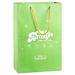 Конструктор "Санта - Клаус" 2694 (дет.)