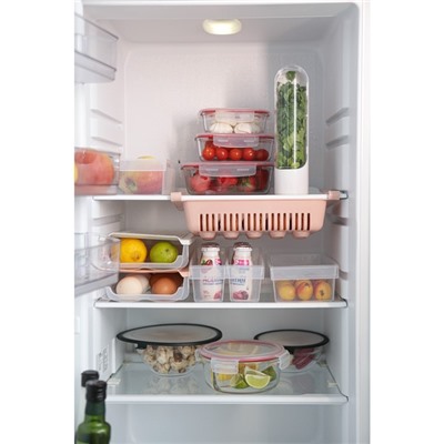 Контейнер для хранения зелени Доляна Fresh, пластик, 500 мл, белый