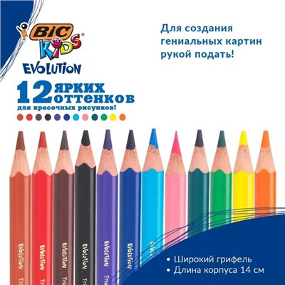 Карандаши цветные 12 цветов, детские, утолщённые, трёхгранные, BIC Kids Evolution Triangle, пластиковые, премиум, картонная упаковка