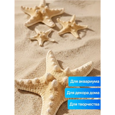 Набор из 3 морских звезд, размер 5-7 см, 7-10 см, 10-12 см, белый