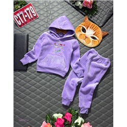 костюм с начесом 1983181-4