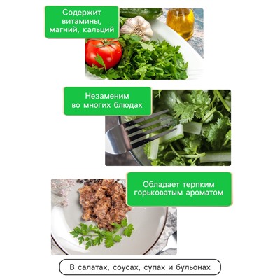 Семена Кориандр - кинза «Кин-Дза-Дза», 2 г, «Рецепты дедушки Никиты»