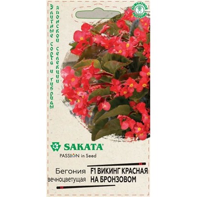 Бегония Викинг красная на бронзовом F1 (Код: 88972)