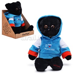 Кот в кофте Россия