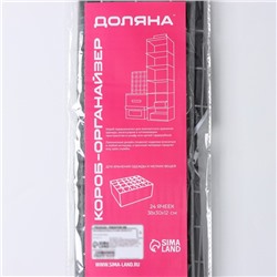 Органайзер для хранения белья Доляна «Кло», 24 ячейки, 38×30×12 см, чёрный