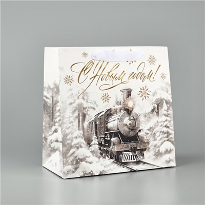Пакет подарочный новогодний ламинированный квадратный «Новогодний поезд», 22×22×11 см