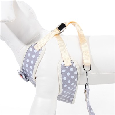 Комплект с мягкой шлейкой «Горох», размер L, поводок 120×1.5 см, ОГ 42-76 см, серый