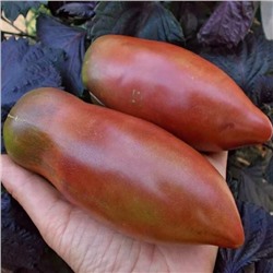 7083Т Томат Фиолетовая гордость Весселя 10шт