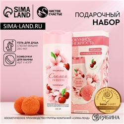 Подарочный набор косметики «Окунись в нежность!», гель для душа 250 мл и бомбочки для ванны 4×40 г, Чистое счастье