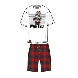 Комплект для мальчиков: фуфайка (футболка) трикотажная, шорты текстильные