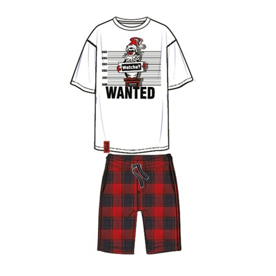 Комплект для мальчиков: фуфайка (футболка) трикотажная, шорты текстильные