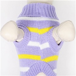 Свитер «Полоски», L (ДС 29, ОШ 29, ОГ 29-49 см)