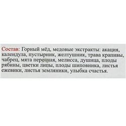 Эликсир монастырский «От головных болей» 100 мл