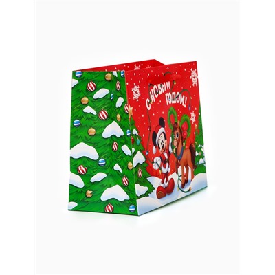 Пакет подарочный «С Новым годом!», MS 23×18×10 см