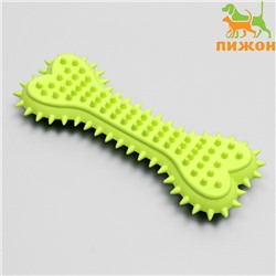 Игрушка жевательная литая «Кость с шипами», 15×6×2.5 см, салатовая