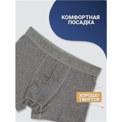 1110-22 Боксеры мужские (BAYKAR)