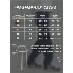 Женские джинсы прямые CRACPOT