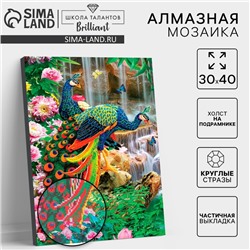Алмазная мозаика с частичным заполнением на подрамнике «Павлины», 30×40 см