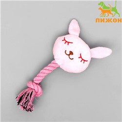 Игрушка мягкая для собак «Зайка с канатом», с пищалкой, 18 см, розовая