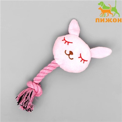 Игрушка мягкая для собак «Зайка с канатом», с пищалкой, 18 см, розовая