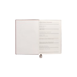 Ежедневник недатированный формат А5, 80л, линия, с ручкой, подар коробка, Серый