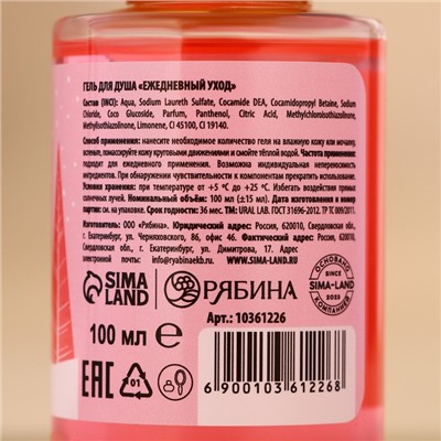 Подарочный набор новогодний «Мечтай»: гель для душа 2×100 мл и мочалка для тела, URAL LAB
