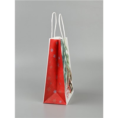 Пакет бумажный подарочный новогодний крафт «Белки» 15×21×8 см