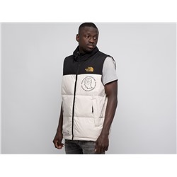 Жилет The North Face