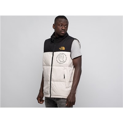 Жилет The North Face