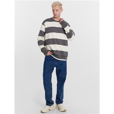 СВИТШОТ МУЖСКОЙ 121813/1