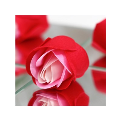 Мыльные розочки, трёхцветные, набор 3 шт.