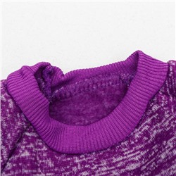 Свитер для животных меланжевый, размер XS, ДС 14, ОШ 23, ОГ 22 см, фиолетовый