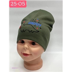 шапка 2054024-5
