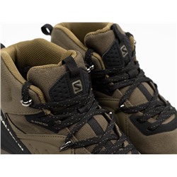 Ботинки Salomon ELIXIR MID GTX