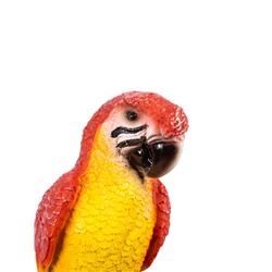 Подвесной декор из полистоуна «Красный Ара», 8×7×26 см