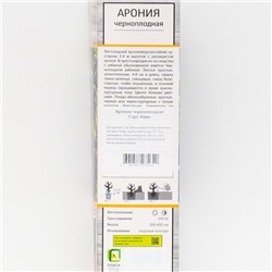 Арония черноплодная «Амит», саженец,1 шт., туба