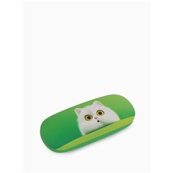 Футляр для очков на хлопушке, с рисунком, размер 16×4×6 см, МИКС