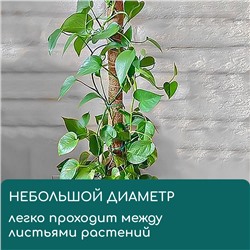 Опора для подвязки растений, h=60 см, d=5 см, кокосовая, Greengo