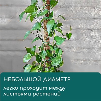 Опора для подвязки растений, h=60 см, d=5 см, кокосовая, Greengo