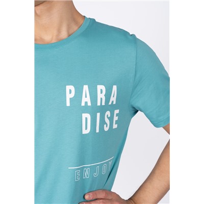 Футболка мужская 54206