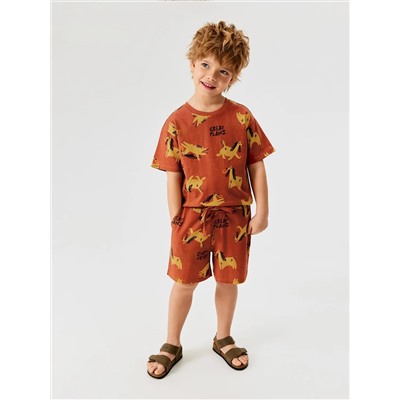 Acoola Набор 20124200025