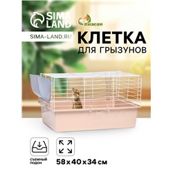 Клетка для грызунов «Пижон» №1 складная, 58×40×34 см, миска, 2 кормушки, бежевая